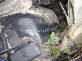 2005 BMW 3-Series Pictures