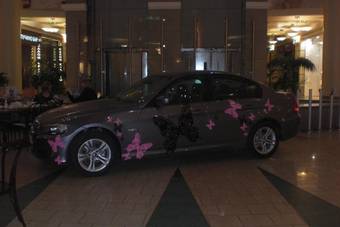 2008 BMW 3-Series Pictures