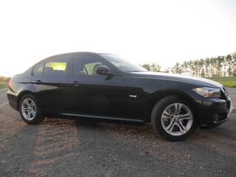 2010 BMW 3-Series Pictures