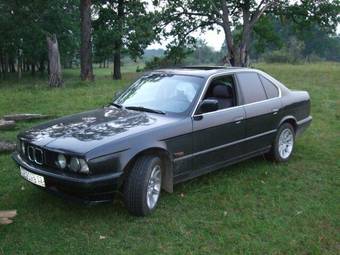 1988 BMW 5-Series Photos