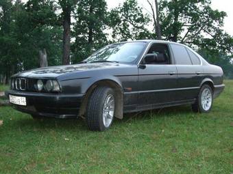 1988 BMW 5-Series Photos
