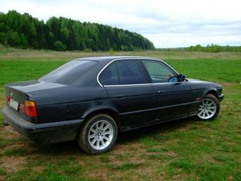 1988 BMW 5-Series Pictures