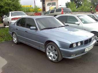 1990 BMW 5-Series Photos