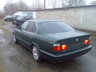 1991 BMW 5-Series Photos