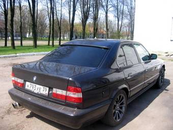1991 BMW 5-Series Photos