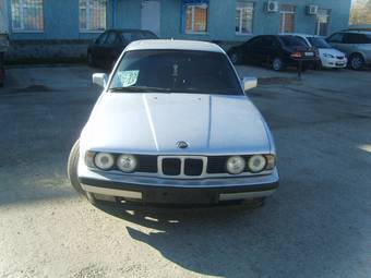 1991 BMW 5-Series Photos