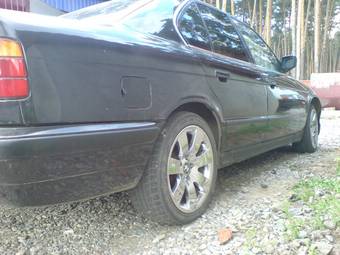 1991 BMW 5-Series Pictures