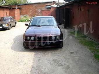 1992 BMW 5-Series Pictures