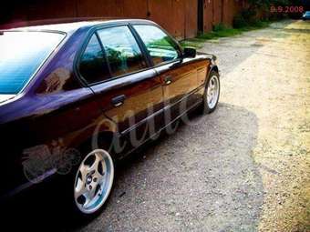 1992 BMW 5-Series Pictures