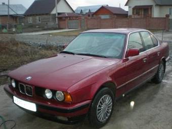 1992 BMW 5-Series Pictures