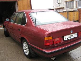 1992 BMW 5-Series Pictures