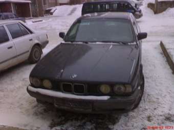 1993 BMW 5-Series Pictures