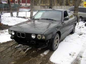 1993 BMW 5-Series Pictures