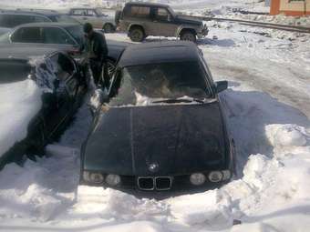 1993 BMW 5-Series Wallpapers
