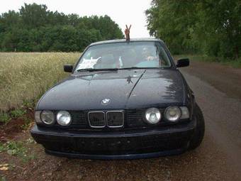 1993 BMW 5-Series Pictures