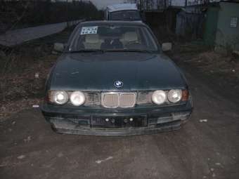 1994 BMW 5-Series Pictures