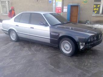 1994 BMW 5-Series Photos