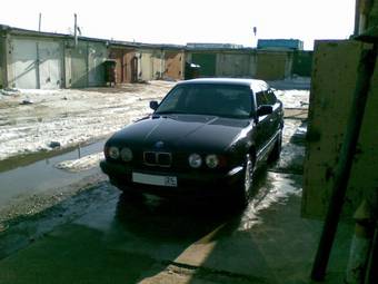 1994 BMW 5-Series Pictures