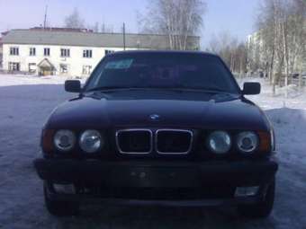 1995 BMW 5-Series Photos