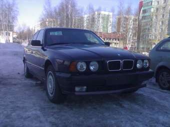 1995 BMW 5-Series Pictures