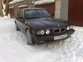 1995 BMW 5-Series Pictures