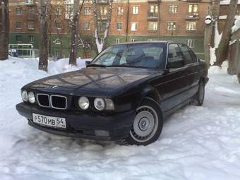 1995 BMW 5-Series Photos