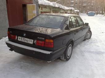 1995 BMW 5-Series Photos