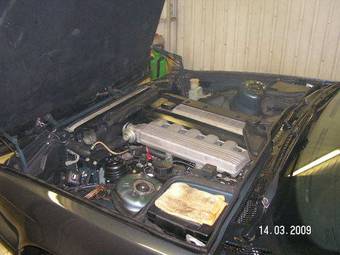 1995 BMW 5-Series Pictures