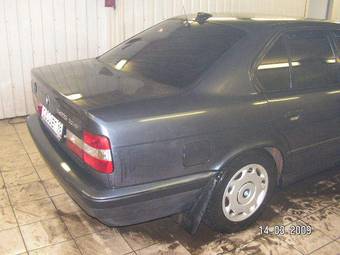 1995 BMW 5-Series Pictures