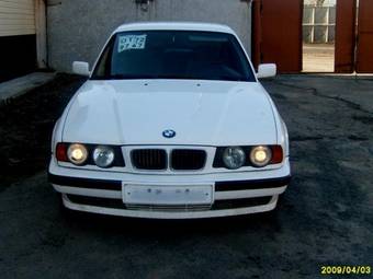 1995 BMW 5-Series Photos