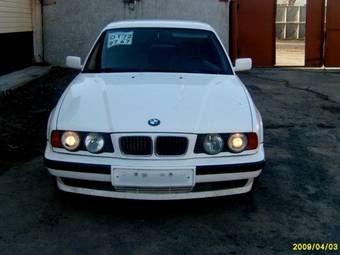 1995 BMW 5-Series Pictures