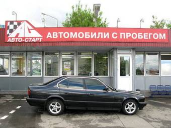 1995 BMW 5-Series Photos