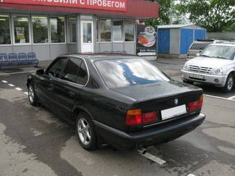 1995 BMW 5-Series Photos