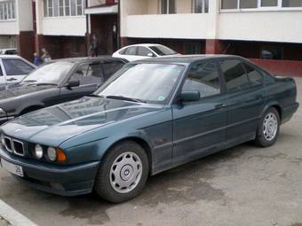 1995 BMW 5-Series Pictures