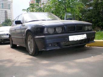 1995 BMW 5-Series Photos