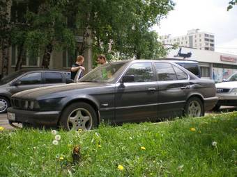 1995 BMW 5-Series Images