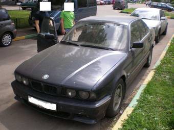 1995 BMW 5-Series Pictures