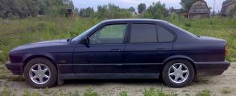 1995 BMW 5-Series Pictures