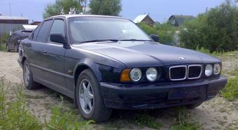 1995 BMW 5-Series Pictures