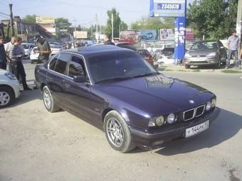 1995 BMW 5-Series Pictures