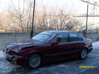 1996 BMW 5-Series Pics