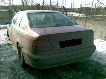 1996 BMW 5-Series Pictures