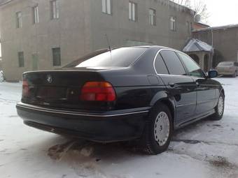 1996 BMW 5-Series Pictures