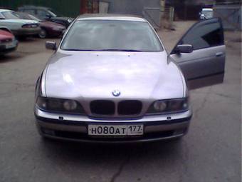 1996 BMW 5-Series Photos