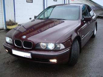 1996 BMW 5-Series Pictures
