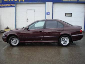 1996 BMW 5-Series Photos