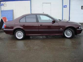 1996 BMW 5-Series Pictures