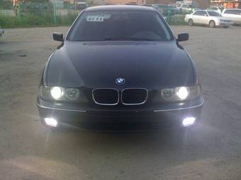 1996 BMW 5-Series Photos