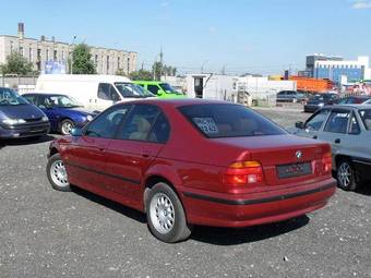 1996 BMW 5-Series Pictures