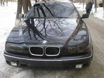 1997 BMW 5-Series Pictures